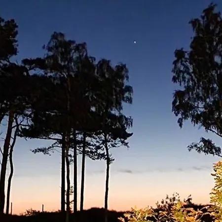 Darlowo Premium By Natural Baltic Appartamento Darlowko