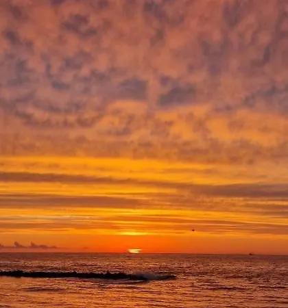 Darlowo Premium By Natural Baltic *